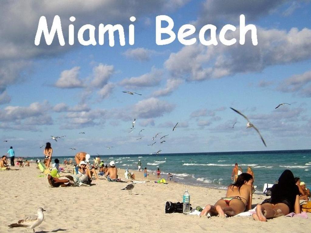 Bikini Lodge (Adults Only) Miami Beach Rom bilde
